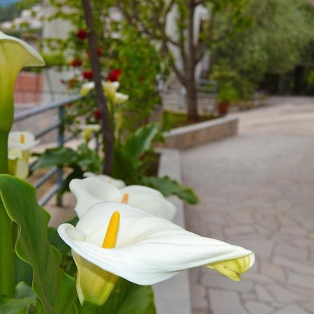 Tivat Apartments Luaran gambar