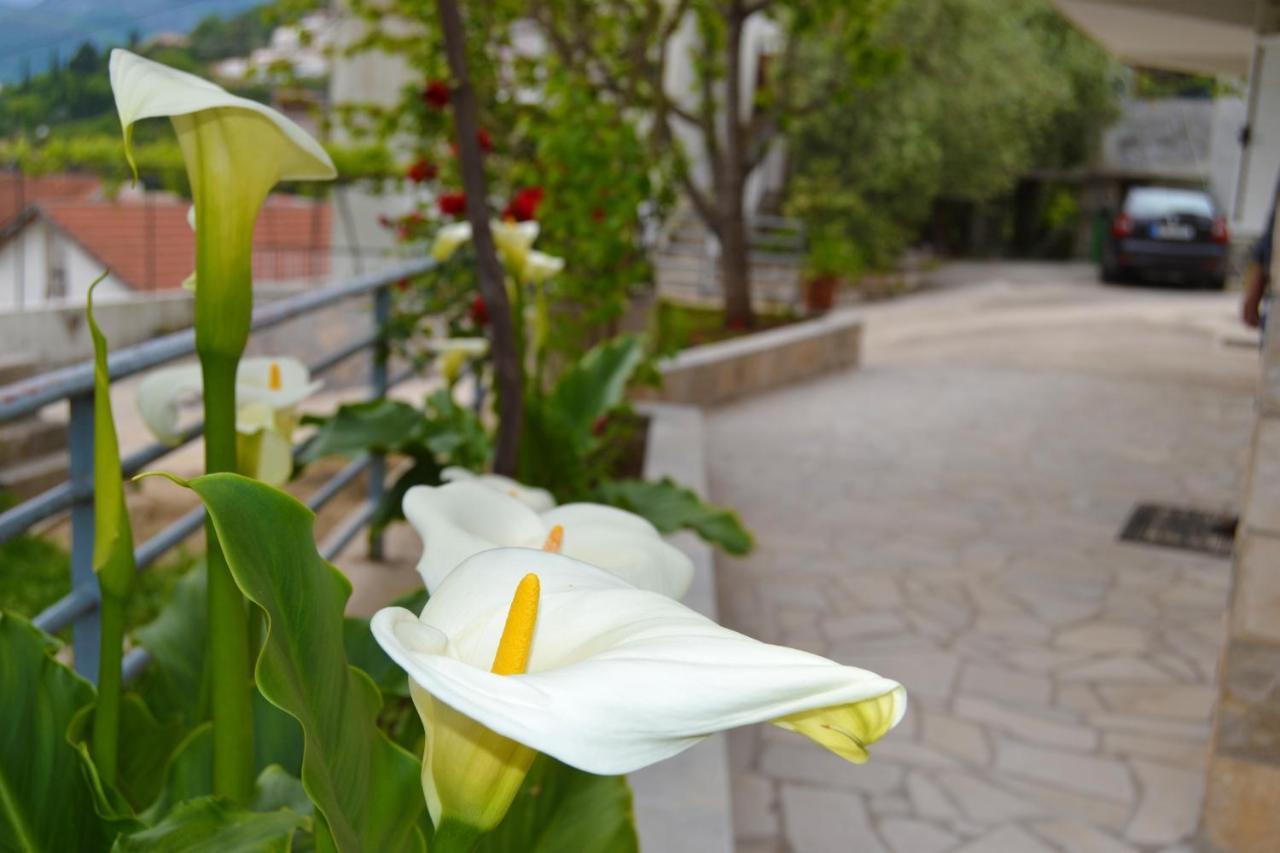 Tivat Apartments Luaran gambar