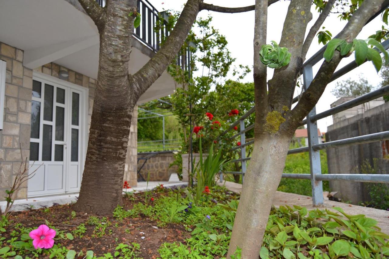 Tivat Apartments Luaran gambar