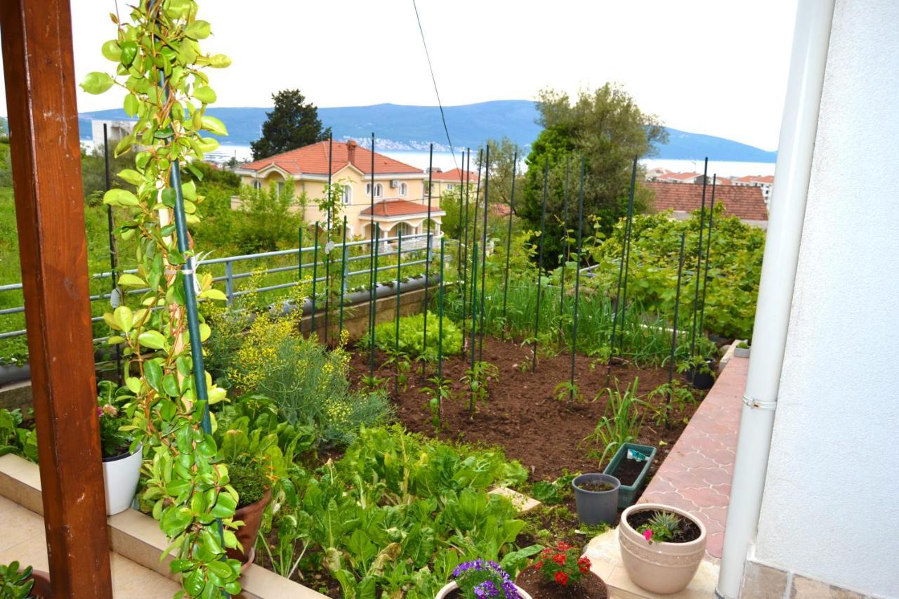 Tivat Apartments Luaran gambar